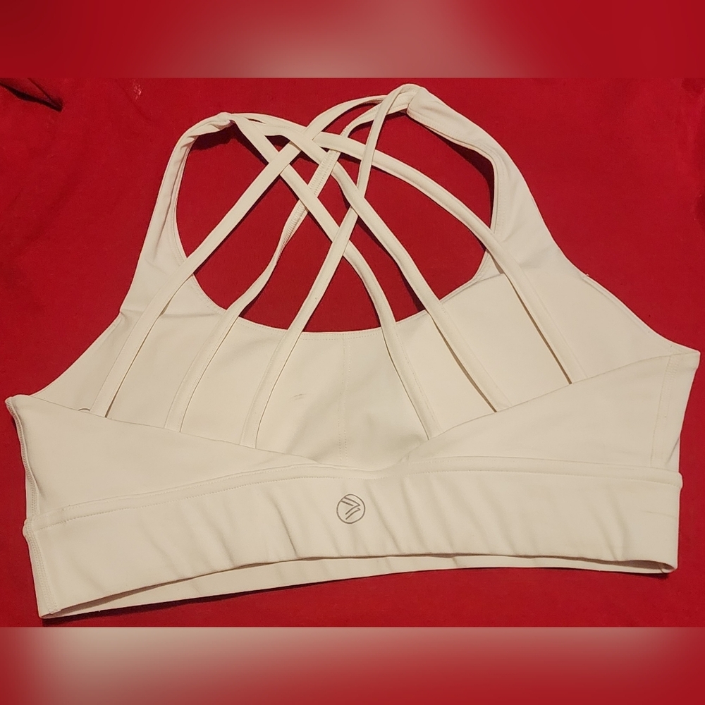 Savvi Taj Sports Bra (Arid Sports Bra). - Picture 2 of 5